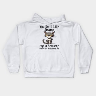 You Smell Like Drama And A Headache Please Get Away From Me Kids Hoodie